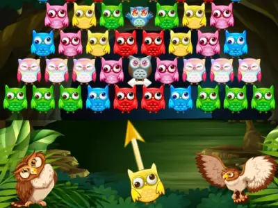 Play Owl Shooter - Free Shooter Game